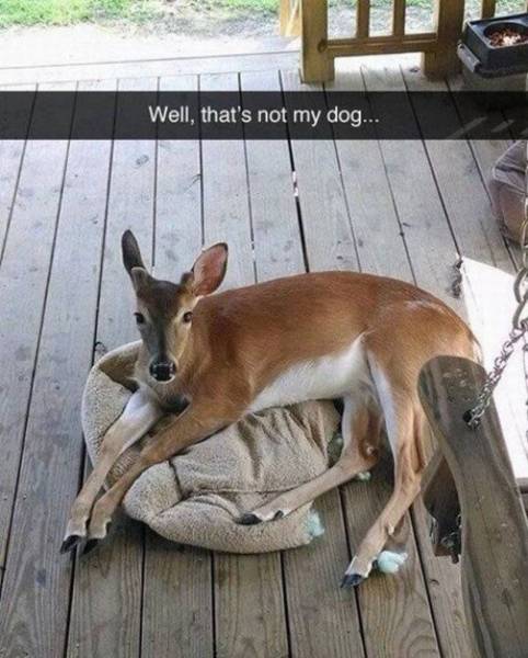 daily picdump 94 pics 30.html - 94 HD Photos | Premium Gallery 2017