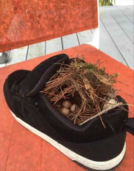 daily picdump 94 pics 30.html - 94 HD Photos | Premium Gallery 2017