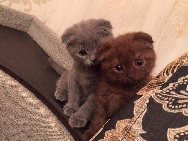 daily picdump 94 pics 30.html - 94 HD Photos | Premium Gallery 2017