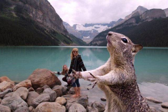 daily picdump 94 pics 30.html - 94 HD Photos | Premium Gallery 2017