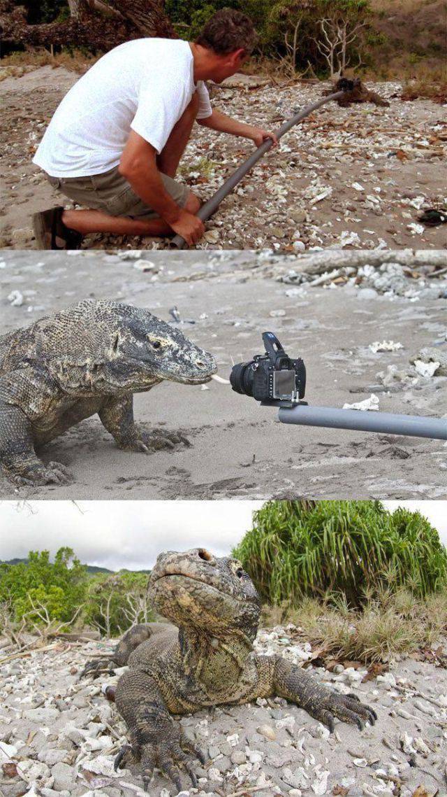 daily picdump 94 pics 30.html - 94 HD Photos | Premium Gallery 2017