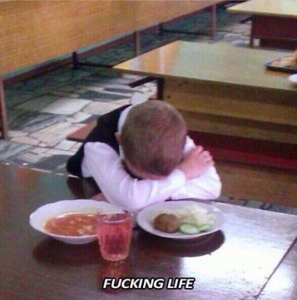 funny picdump 52 pics 7.html - 52 HD Photos | Premium Gallery 2017