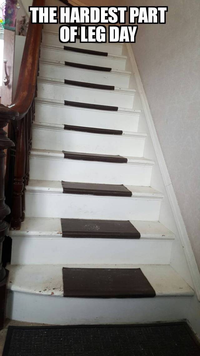 funny picdump 52 pics 7.html - 52 HD Photos | Premium Gallery 2017