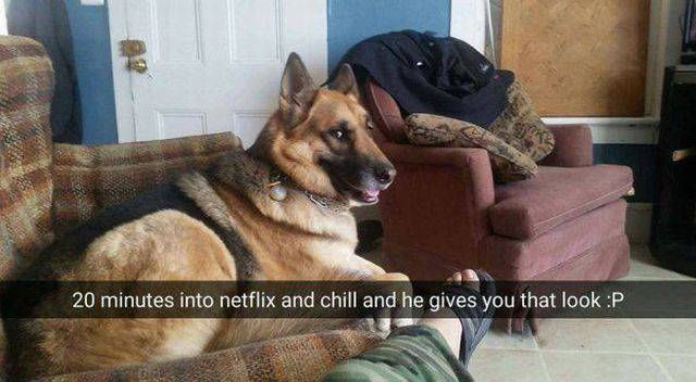 daily picdump 102 pics 20.html - 102 HD Photos | Premium Gallery 2017