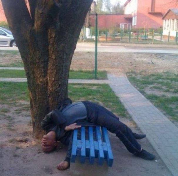 daily picdump 102 pics 20.html - 102 HD Photos | Premium Gallery 2017