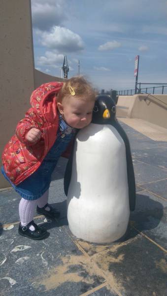 daily picdump 102 pics 20.html - 102 HD Photos | Premium Gallery 2017