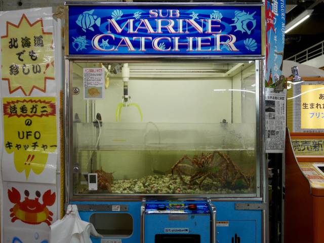 daily picdump 102 pics 20.html - 102 HD Photos | Premium Gallery 2017