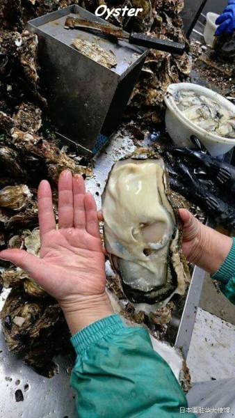 daily picdump 102 pics 20.html - 102 HD Photos | Premium Gallery 2017