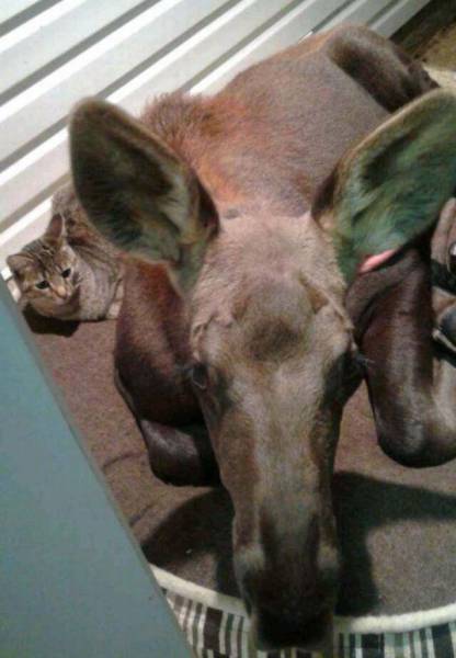 daily picdump 102 pics 20.html - 102 HD Photos | Premium Gallery 2017