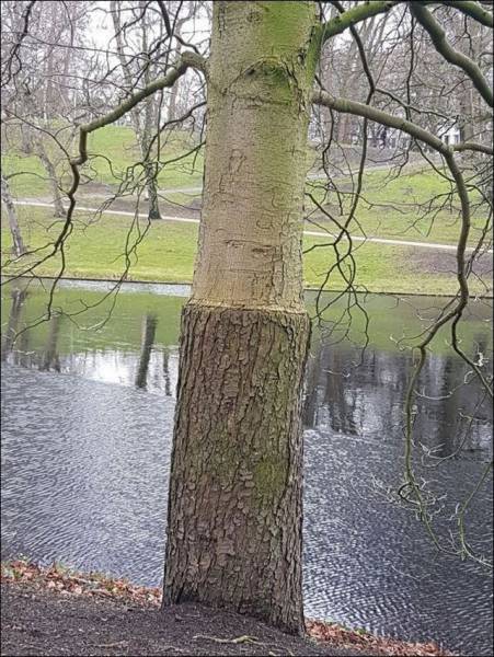 daily picdump 102 pics 20.html - 102 HD Photos | Premium Gallery 2017