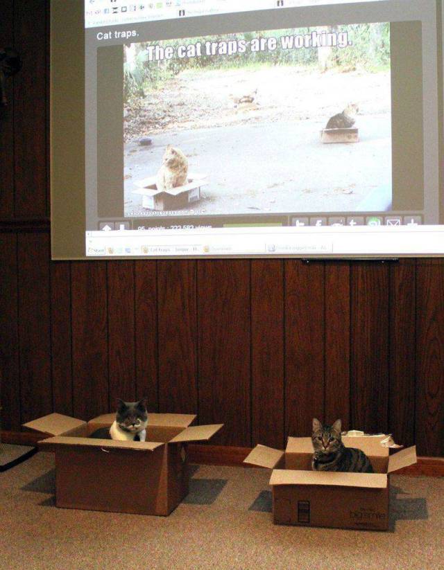 daily picdump 102 pics 20.html - 102 HD Photos | Premium Gallery 2017