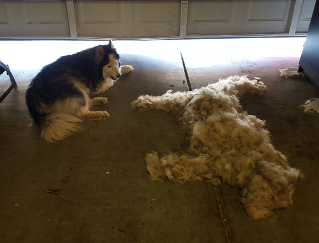 morning picdump 50 pics 12.html - 50 HD Photos | Premium Gallery 2017