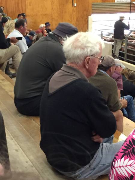 morning picdump 50 pics 12.html - 50 HD Photos | Premium Gallery 2017