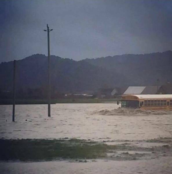 morning picdump 50 pics 12.html - 50 HD Photos | Premium Gallery 2017