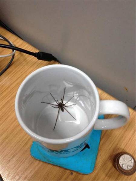 Daily Picdump [WEEKEND EDITION]