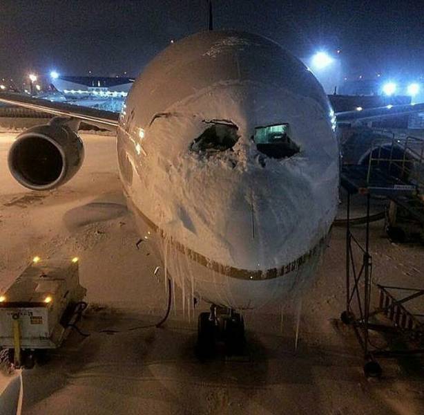 daily picdump weekend edition 52 pics 23.html - 52 HD Photos | Premium Gallery 2017