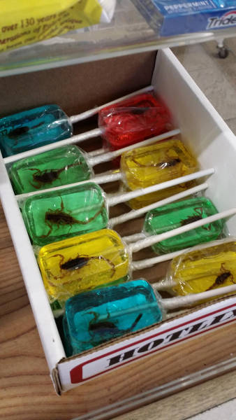 daily picdump weekend edition 52 pics 23.html - 52 HD Photos | Premium Gallery 2017