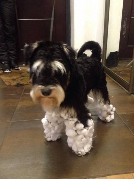 daily picdump 101 pics 10.html - 101 HD Photos | Premium Gallery 2017