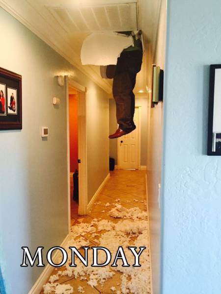 daily picdump 101 pics 10.html - 101 HD Photos | Premium Gallery 2017