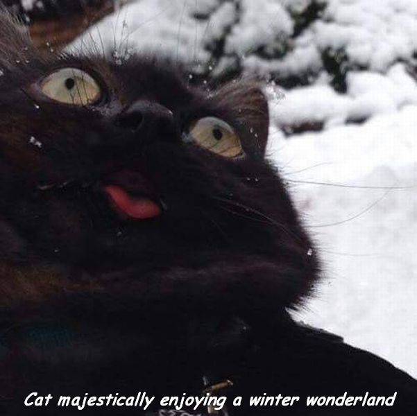 daily picdump 101 pics 10.html - 101 HD Photos | Premium Gallery 2017