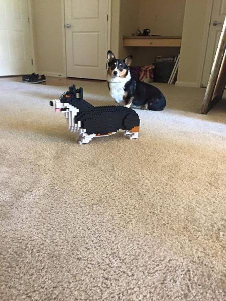 daily picdump 101 pics 10.html - 101 HD Photos | Premium Gallery 2017