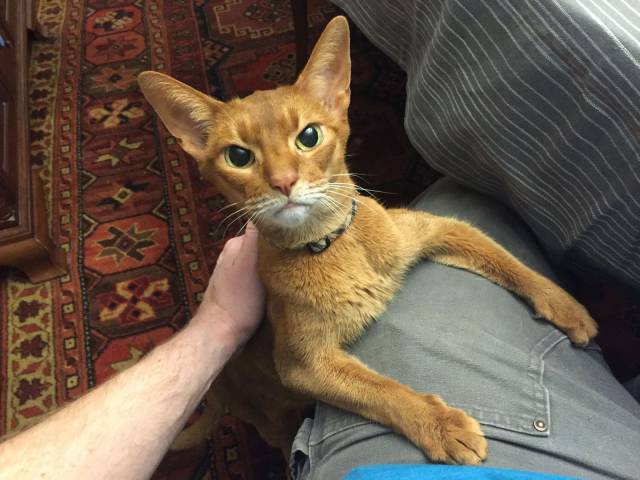 daily picdump 101 pics 10.html - 101 HD Photos | Premium Gallery 2017