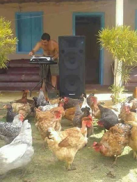 daily picdump 101 pics 10.html - 101 HD Photos | Premium Gallery 2017