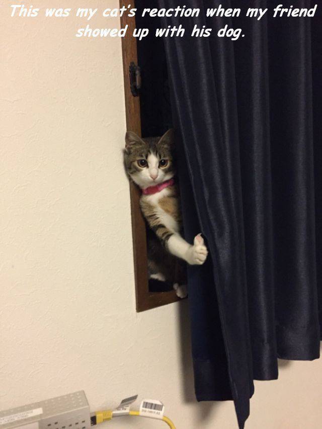 daily picdump 101 pics 10.html - 101 HD Photos | Premium Gallery 2017