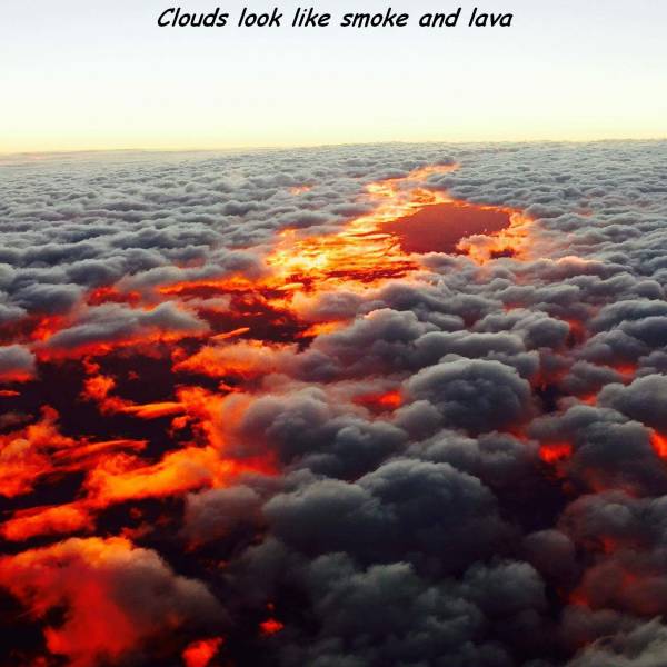 daily picdump 102 pics 27.html - 102 HD Photos | Premium Gallery 2017