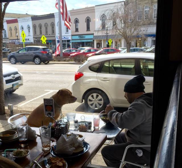 daily picdump 102 pics 27.html - 102 HD Photos | Premium Gallery 2017