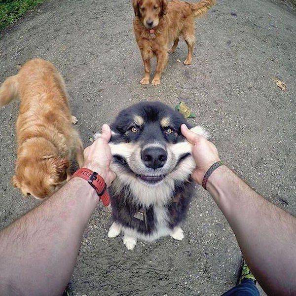 daily picdump 102 pics 27.html - 102 HD Photos | Premium Gallery 2017