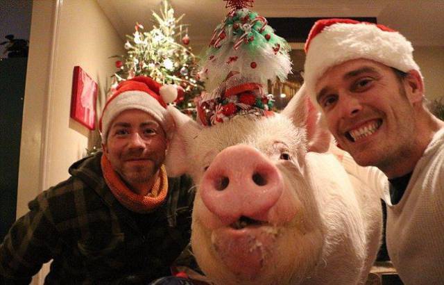 daily picdump 102 pics 27.html - 102 HD Photos | Premium Gallery 2017