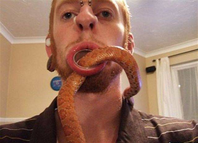 daily picdump 102 pics 27.html - 102 HD Photos | Premium Gallery 2017