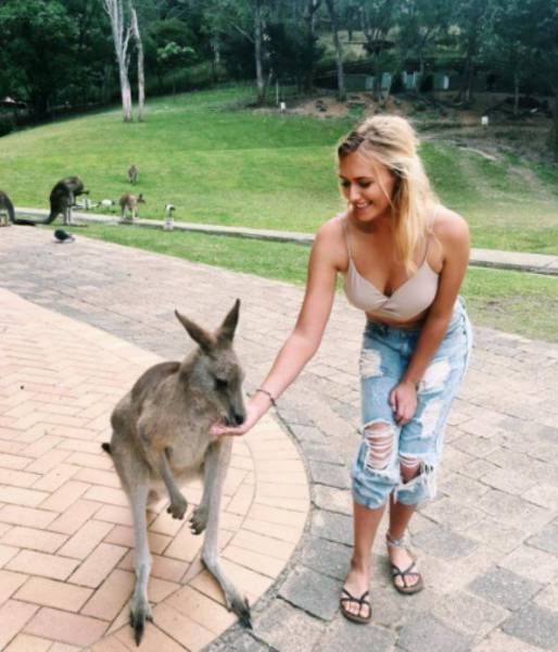 daily picdump 102 pics 27.html - 102 HD Photos | Premium Gallery 2017