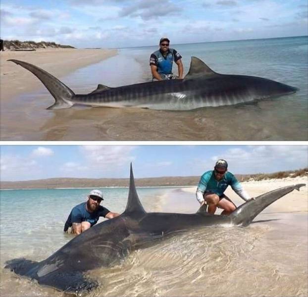 daily picdump 102 pics 27.html - 102 HD Photos | Premium Gallery 2017