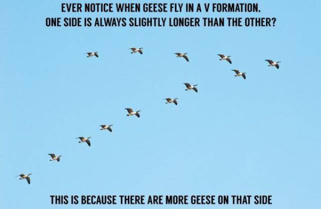 daily picdump 102 pics 27.html - 102 HD Photos | Premium Gallery 2017