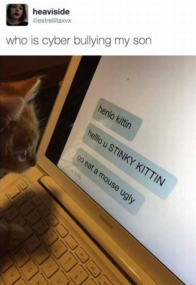 daily picdump 102 pics 27.html - 102 HD Photos | Premium Gallery 2017