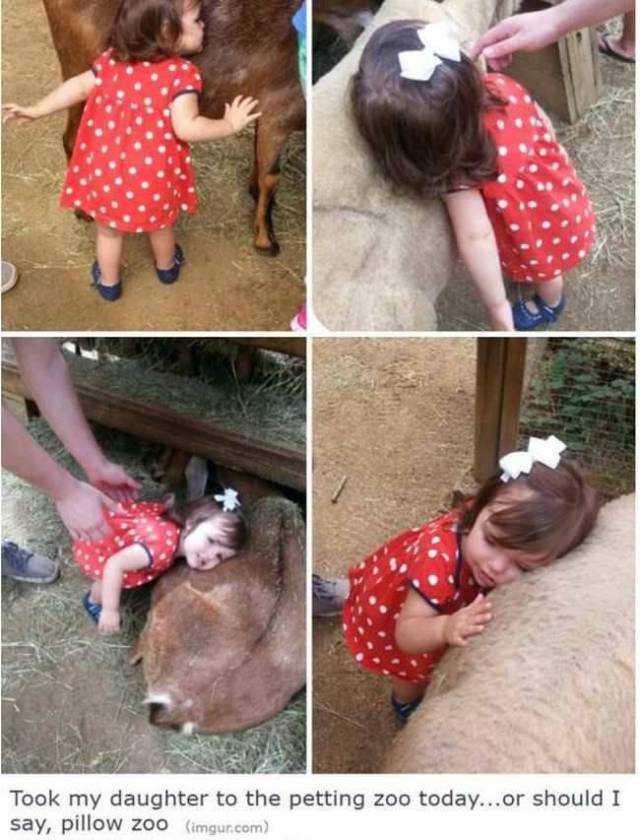 daily picdump 102 pics 27.html - 102 HD Photos | Premium Gallery 2017