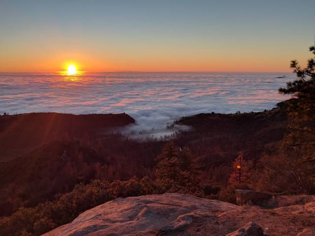 morning picdump 51 pics 2.html - 51 HD Photos | Premium Gallery 2017