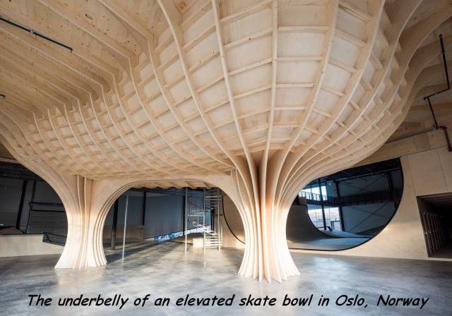 daily picdump 97 pics 23.html - 97 HD Photos | Premium Gallery 2017