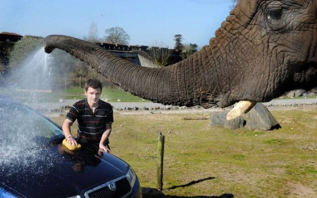 daily picdump 97 pics 23.html - 97 HD Photos | Premium Gallery 2017