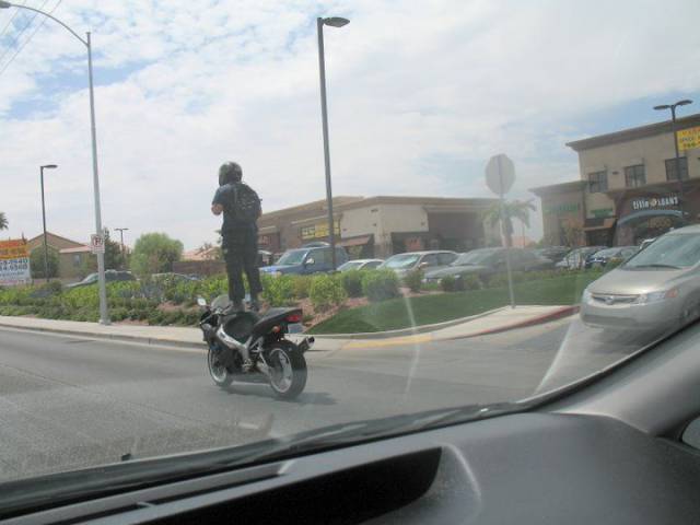 daily picdump 97 pics 23.html - 97 HD Photos | Premium Gallery 2017