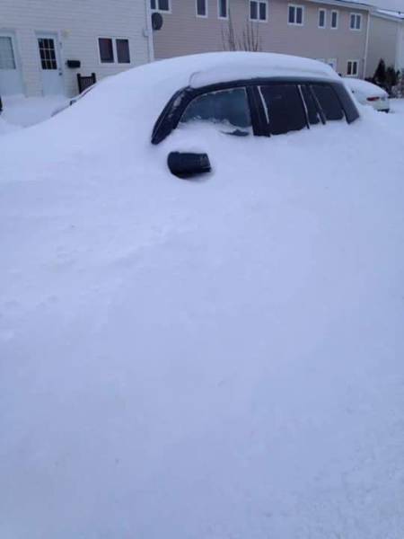 daily picdump 97 pics 23.html - 97 HD Photos | Premium Gallery 2017