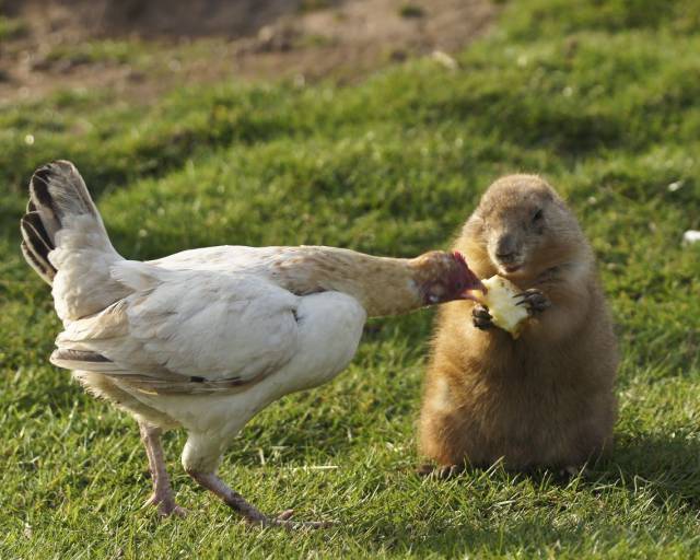 daily picdump 97 pics 23.html - 97 HD Photos | Premium Gallery 2017