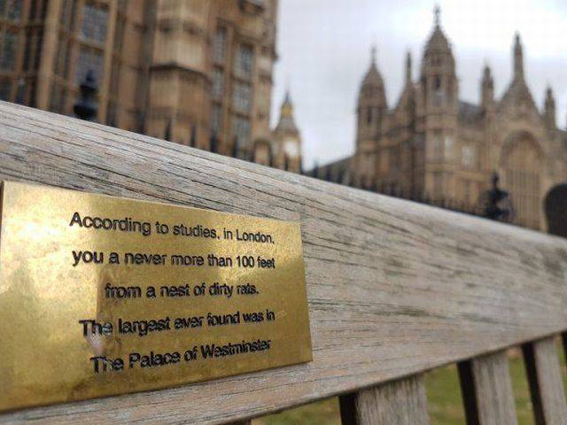 daily picdump 97 pics 23.html - 97 HD Photos | Premium Gallery 2017