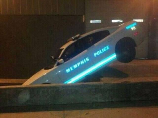 daily picdump 97 pics 23.html - 97 HD Photos | Premium Gallery 2017