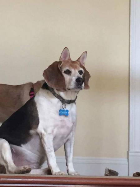 morning picdump 51 pics 12.html - 51 HD Photos | Premium Gallery 2017