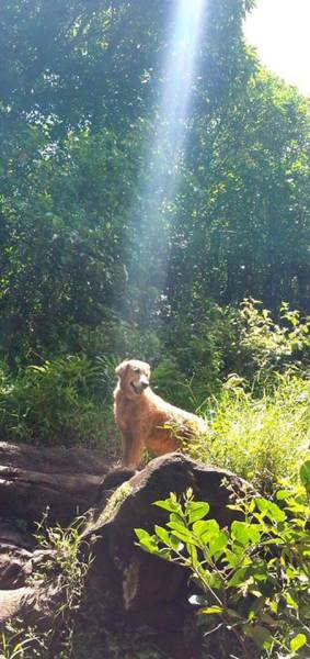 morning picdump 51 pics 12.html - 51 HD Photos | Premium Gallery 2017