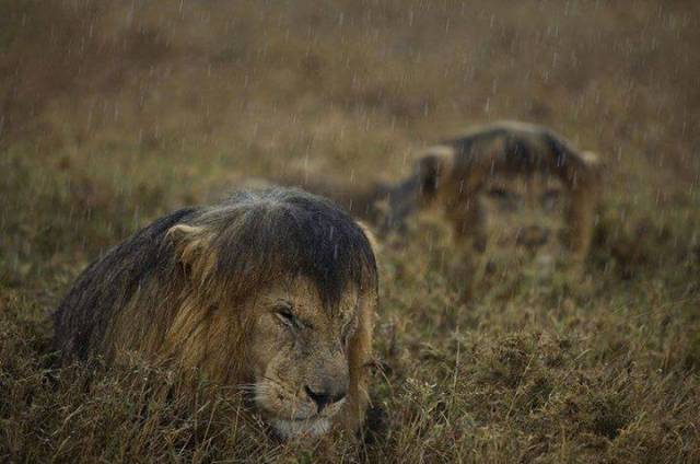 morning picdump 51 pics 12.html - 51 HD Photos | Premium Gallery 2017