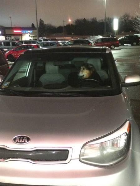 morning picdump 51 pics 12.html - 51 HD Photos | Premium Gallery 2017